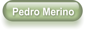 Pedro Merino