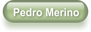 Pedro Merino