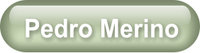 Pedro Merino