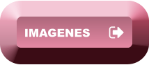 IMAGENES IMAGENES